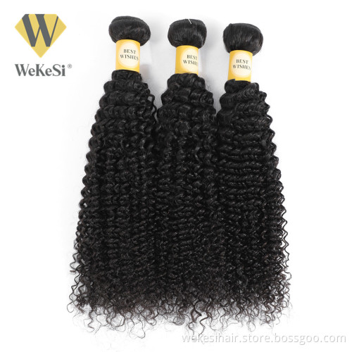 WKS Cheap Remi and Virgin Human Hair Exports Loose Wave Bundle Brazilian Short Human Hair Curly Weave Single Donor Extension